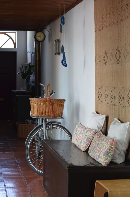A Casa Da Arvore Bed & Breakfast Vila Nova de Milfontes Eksteriør bilde