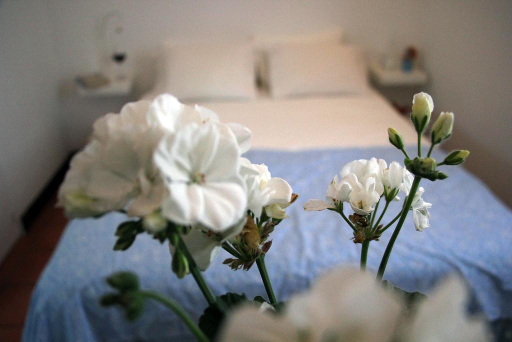 A Casa Da Arvore Bed & Breakfast Vila Nova de Milfontes Rom bilde