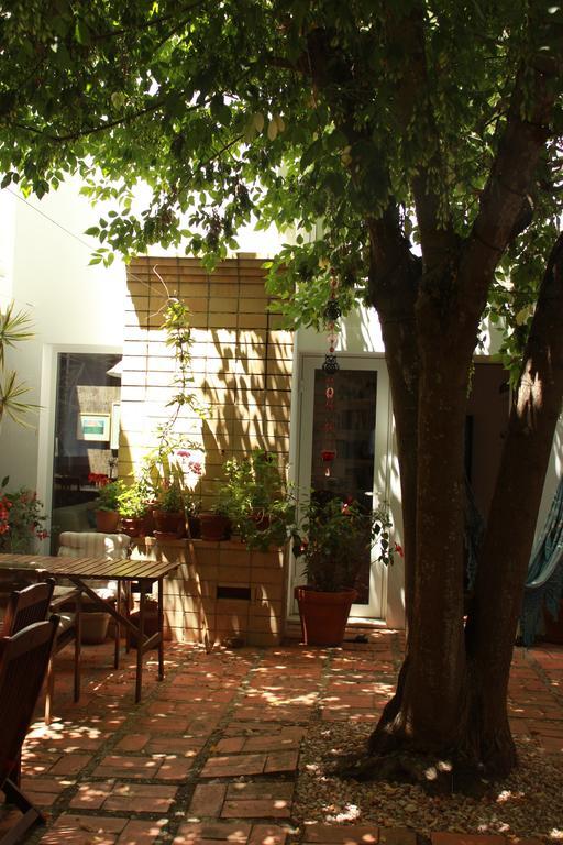 A Casa Da Arvore Bed & Breakfast Vila Nova de Milfontes Eksteriør bilde